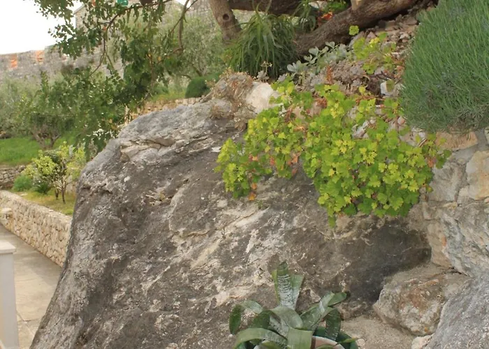 With A Parking Space Hvar - 8728 Apartmán *